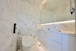 The Edge On Cairnhill (D9), Condominium #578671931